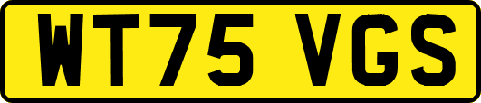 WT75VGS