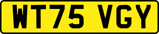 WT75VGY