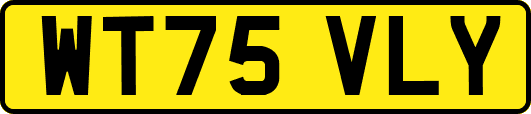 WT75VLY