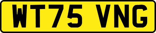 WT75VNG