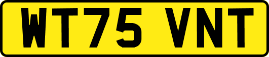 WT75VNT