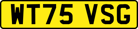 WT75VSG