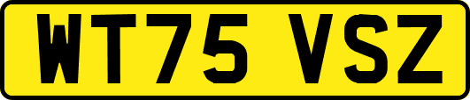 WT75VSZ