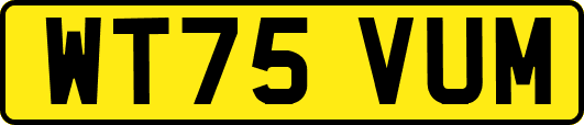 WT75VUM