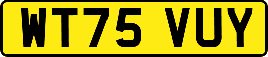 WT75VUY