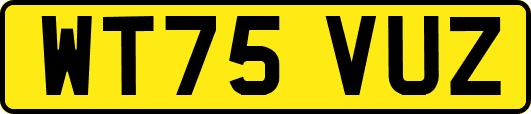 WT75VUZ