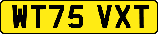 WT75VXT