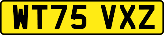 WT75VXZ