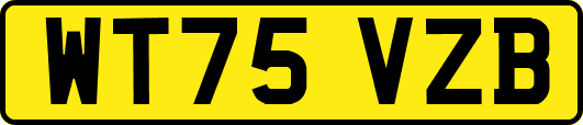 WT75VZB
