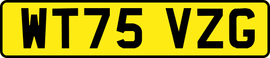 WT75VZG