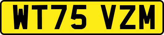WT75VZM