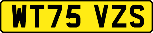 WT75VZS