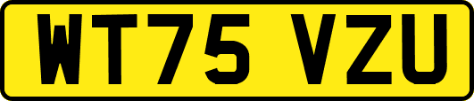 WT75VZU