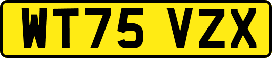 WT75VZX