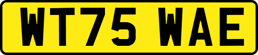 WT75WAE