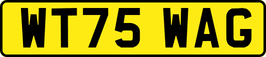 WT75WAG