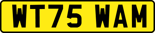 WT75WAM