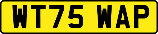 WT75WAP