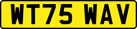 WT75WAV