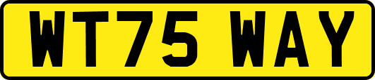WT75WAY