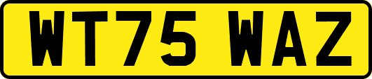 WT75WAZ