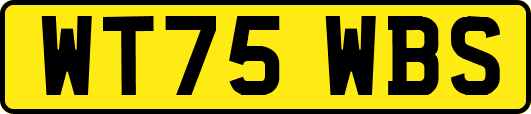 WT75WBS