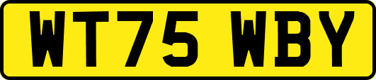 WT75WBY