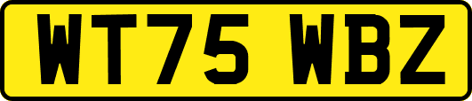 WT75WBZ