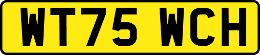 WT75WCH