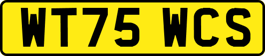 WT75WCS