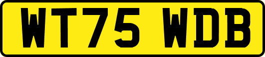 WT75WDB