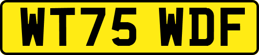 WT75WDF