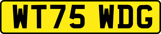 WT75WDG