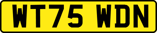 WT75WDN
