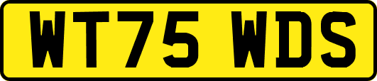 WT75WDS