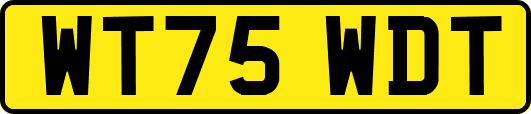 WT75WDT