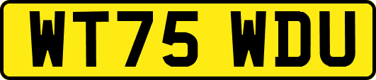 WT75WDU