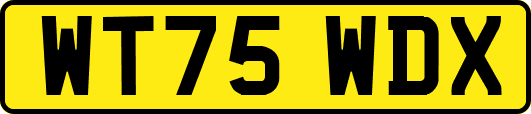 WT75WDX