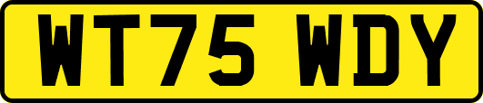 WT75WDY