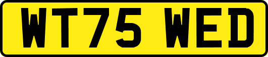 WT75WED