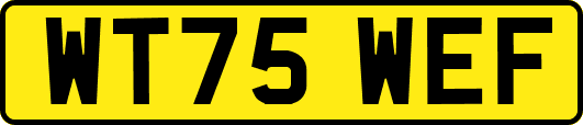 WT75WEF