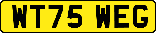 WT75WEG
