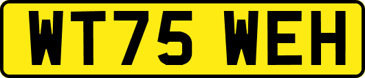 WT75WEH