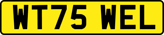 WT75WEL