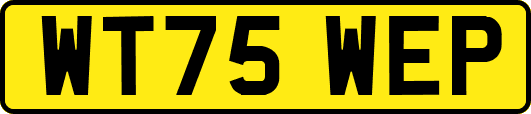 WT75WEP