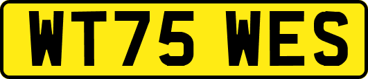 WT75WES