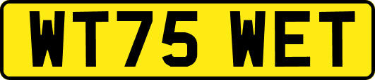 WT75WET