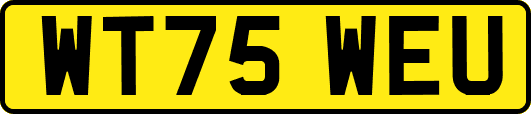WT75WEU