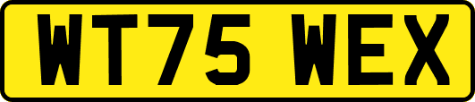 WT75WEX