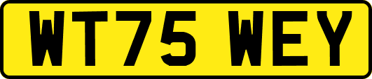 WT75WEY
